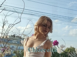 Chloecolts