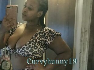 Curvybunny19