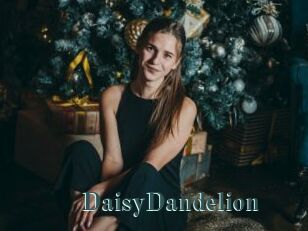 DaisyDandelion