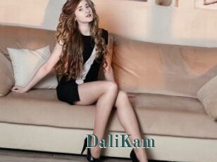 DaliKam