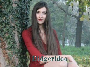 Didgeridoo