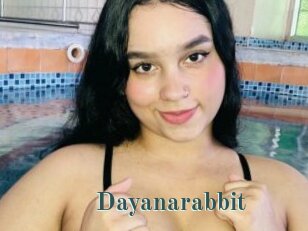 Dayanarabbit