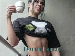 Domin_hamss