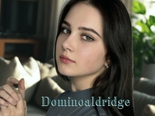 Dominoaldridge
