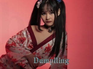 Dumplling