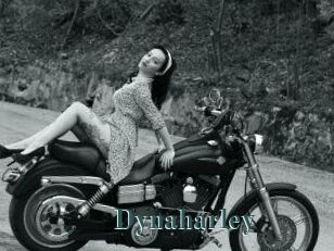 Dynaharley