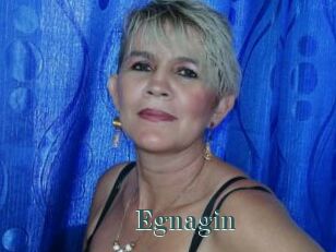 Egnagin