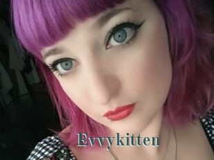 Evvykitten