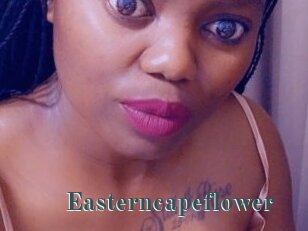 Easterncapeflower