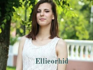 Ellieorhid