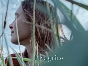Elvagrise