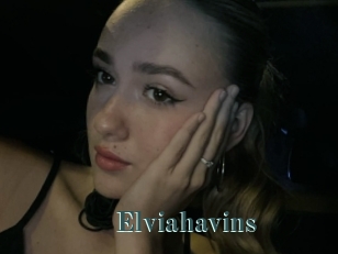 Elviahavins