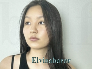 Elvinaborer