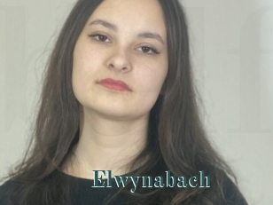Elwynabach