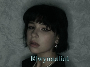 Elwynaeliot