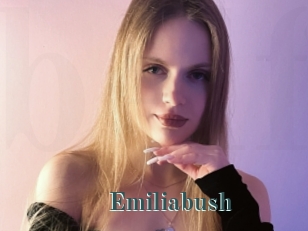Emiliabush