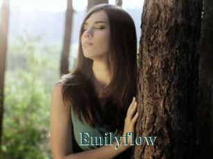 Emilyflow