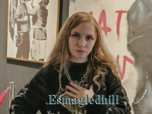 Esmagledhill