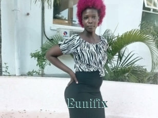 Eunifix