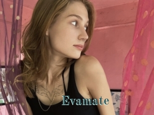 Evamate