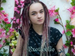 Exoticclio