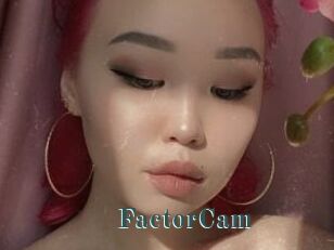 FactorCam