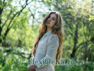 FlexibleKatrin