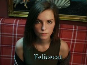 Felicecat