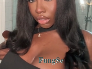 Fung8e
