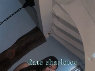 Gate_charlotee