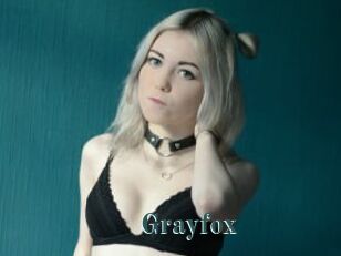 Grayfox