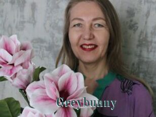 Greybunny