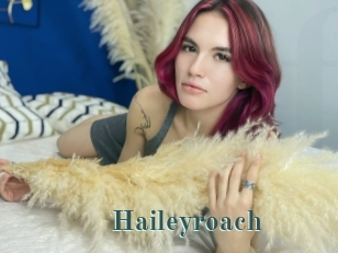 Haileyroach