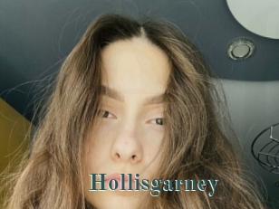 Hollisgarney