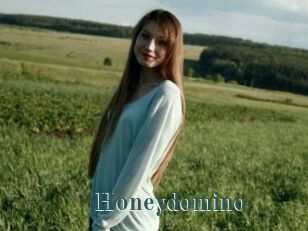Honeydomino