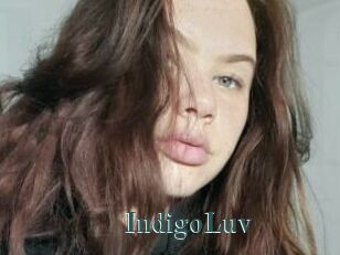 IndigoLuv