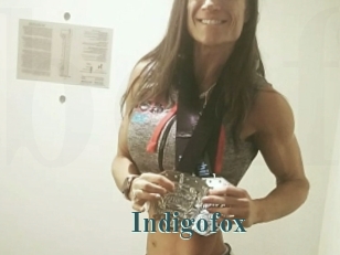 Indigofox