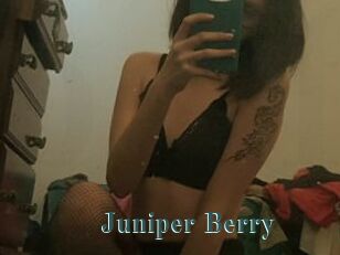 Juniper_Berry