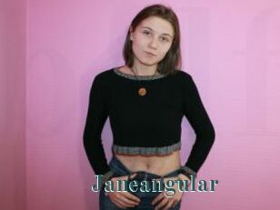 Janeangular