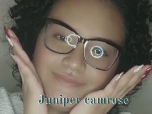 Juniper_camrose