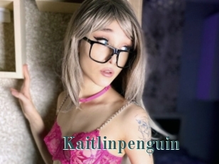 Kaitlinpenguin