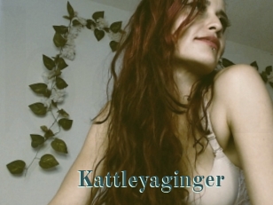 Kattleyaginger