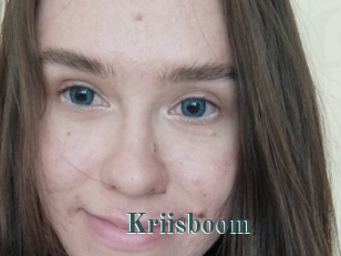 Kriisboom