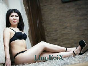 LinaFeiX