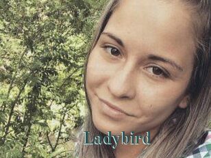 Ladybird