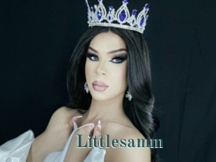 Littlesamm