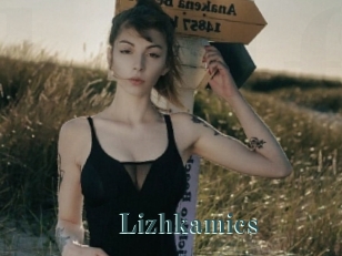 Lizhkamics