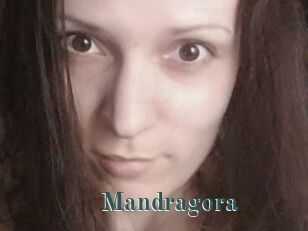 Mandragora