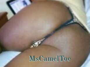 MsCamelToe