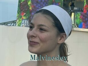 Malvinesley